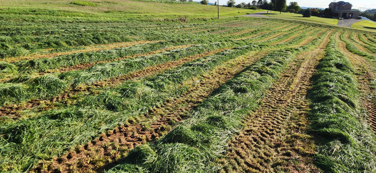 TomVenesky's tweet photo. @91PoorFarmer2 Yep. Smeary ground but it's time for the rest of the second cutting to come off. https://t.co/jYeOZBTdtF