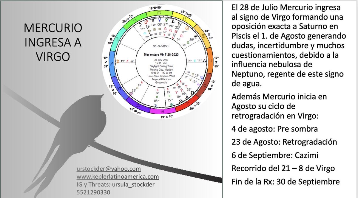 Ursula Stockder (@ursulastockder) on Twitter photo 