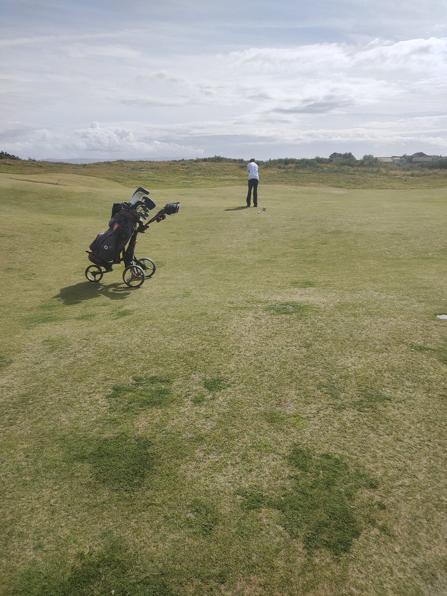 Gordon Mccormack tweet media