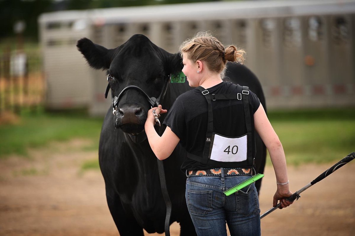 There were many highlights at the <a href="/GelbviehCanada/">Canadian Gelbvieh</a> Nat’l Junior Show but I think the teamwork was my favourite. It was a privilege to have so many kids repping our program &amp; we appreciated their help! 51 juniors + 70 head, lots of pb &amp; commercial representation. #gelbvieh