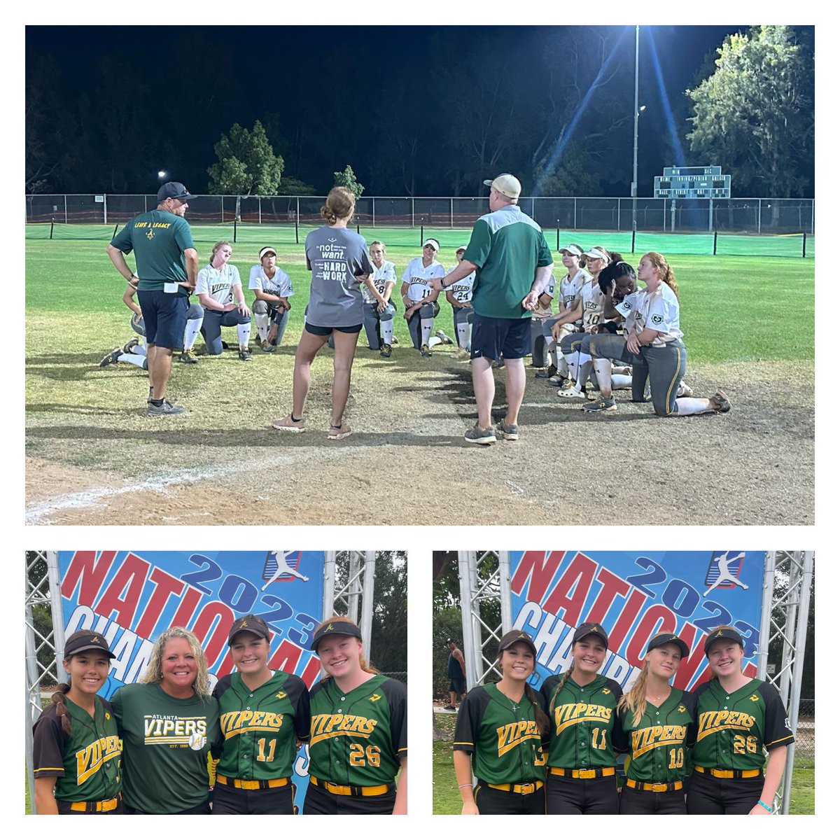 Mac Pavese tweet media