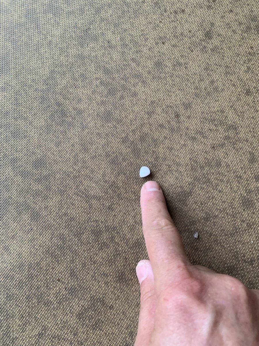 drsambalk's tweet photo. Pea sized hail 6 miles west of Eagar. #azwx @NWSFlagstaff https://t.co/SEelrCtXFJ