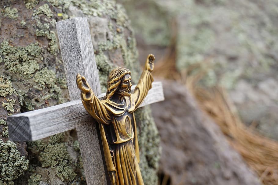 Pildorasdefe tweet media