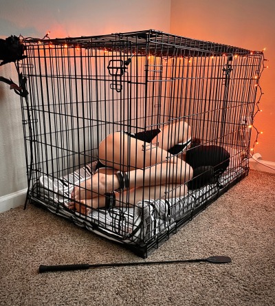 KinkyLevel's tweet photo. 👀 Imagine-toi à l'intérieur, prêt à tout donner, ou à l'extérieur, prenant le contrôle... Alors, tu kiffes ? 😉
😏 Si t'as l'audace d'être enfermé dans la cage, montre ton amour avec un ❤️ ! Mais si tu préfères dominer depuis l'extérieur, retweete ♠ et impose ton autorité ! https://t.co/OJx1lQ6Wx6