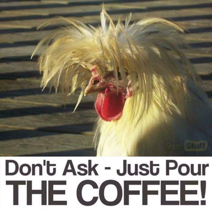 Dr Katie Polain tweet media