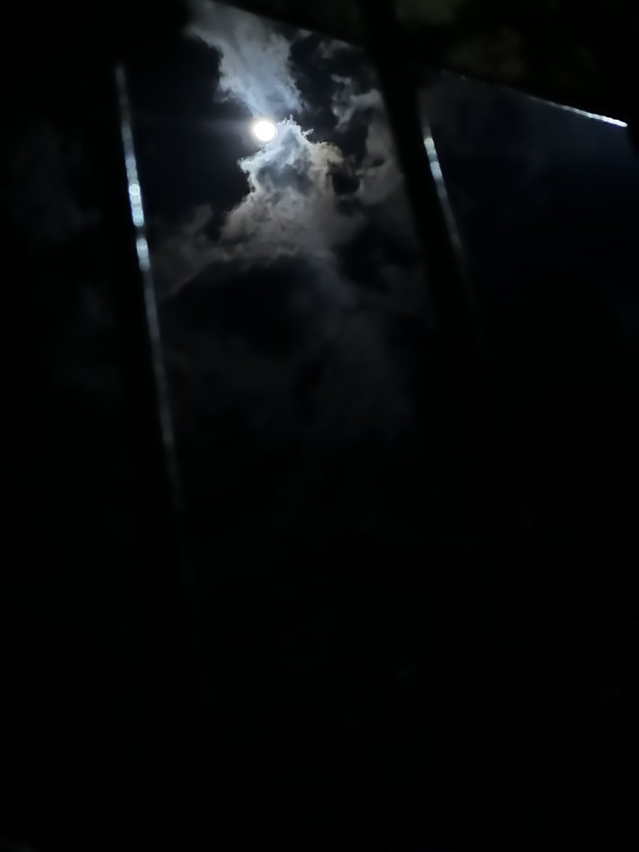 almpf_'s tweet image. Olhaaaa eeeelaaaa 🌜🥰🤌🏼

#santainesma
#14pro