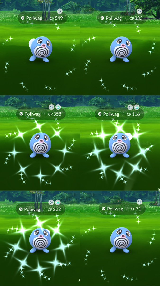 bailey_motta's tweet photo. Fifteen minutes before from 17:00 I’m calling it, too hungry 😅 it was a great community day, I love shiny Poliwag 💙🩵 a lot of huge and tiny ones too https://t.co/u1VUZZJlYa