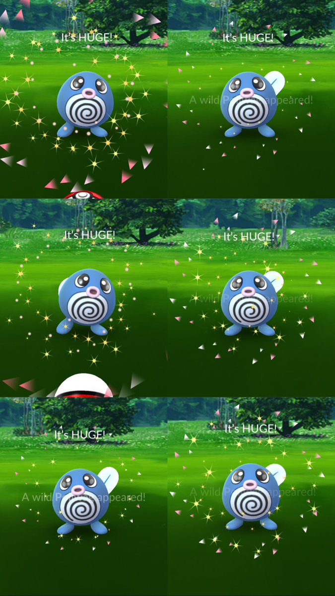 bailey_motta's tweet photo. Fifteen minutes before from 17:00 I’m calling it, too hungry 😅 it was a great community day, I love shiny Poliwag 💙🩵 a lot of huge and tiny ones too https://t.co/u1VUZZJlYa