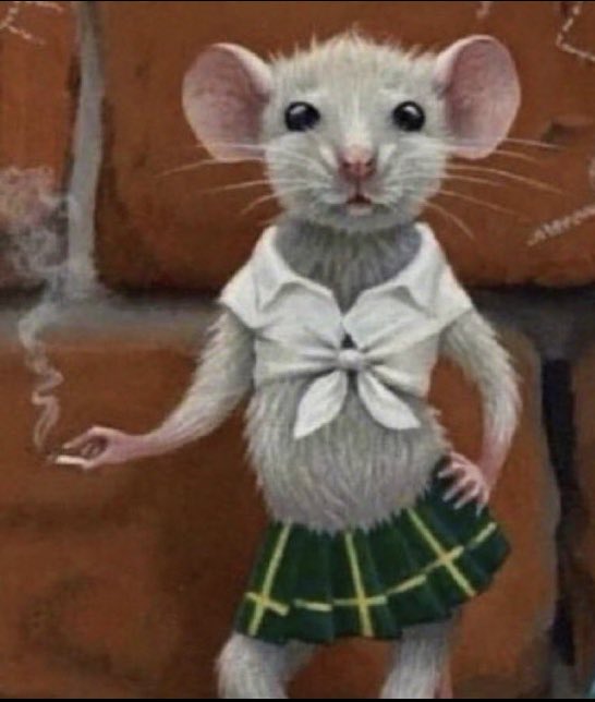 elisgusmao09's tweet image. eu comentei pq sou #deverdade