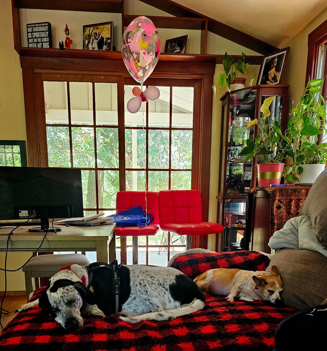 Helen Bradford tweet media