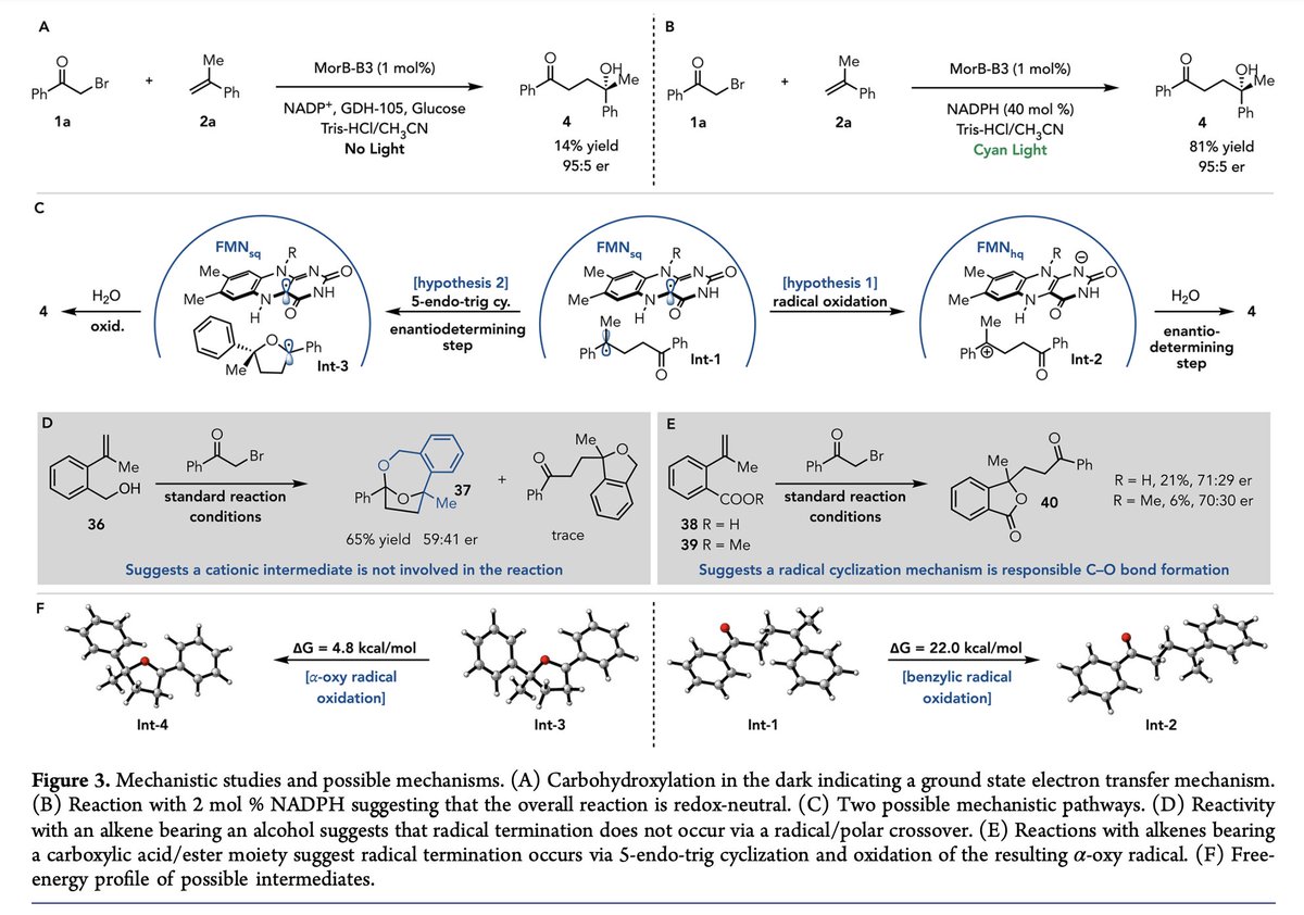 Enzyme Chemistry (@enzymechemistry) on Twitter photo Asymmetric Carbohydroxylation of Alkenes Using #Photoenzymatic Catalysis by Yao Ouyang, Joshua Turek-Herman, Tianzhang Qiao, and Todd K. Hyster @HysterLab at <a href="/CornellChem/">CornellChemistry</a> <a href="/PrincetonChem/">Princeton Chemistry</a> in <a href="/J_A_C_S/">J. Am. Chem. Soc.</a> pubs.acs.org/doi/10.1021/ja⦠Asymmetric Carbohydroxylation of Alkenes Using #Photoenzymatic Catalysis by Yao Ouyang, Joshua Turek-Herman, Tianzhang Qiao, and Todd K. Hyster @HysterLab at <a href="/CornellChem/">CornellChemistry</a> <a href="/PrincetonChem/">Princeton Chemistry</a> in <a href="/J_A_C_S/">J. Am. Chem. Soc.</a> pubs.acs.org/doi/10.1021/jaā¦