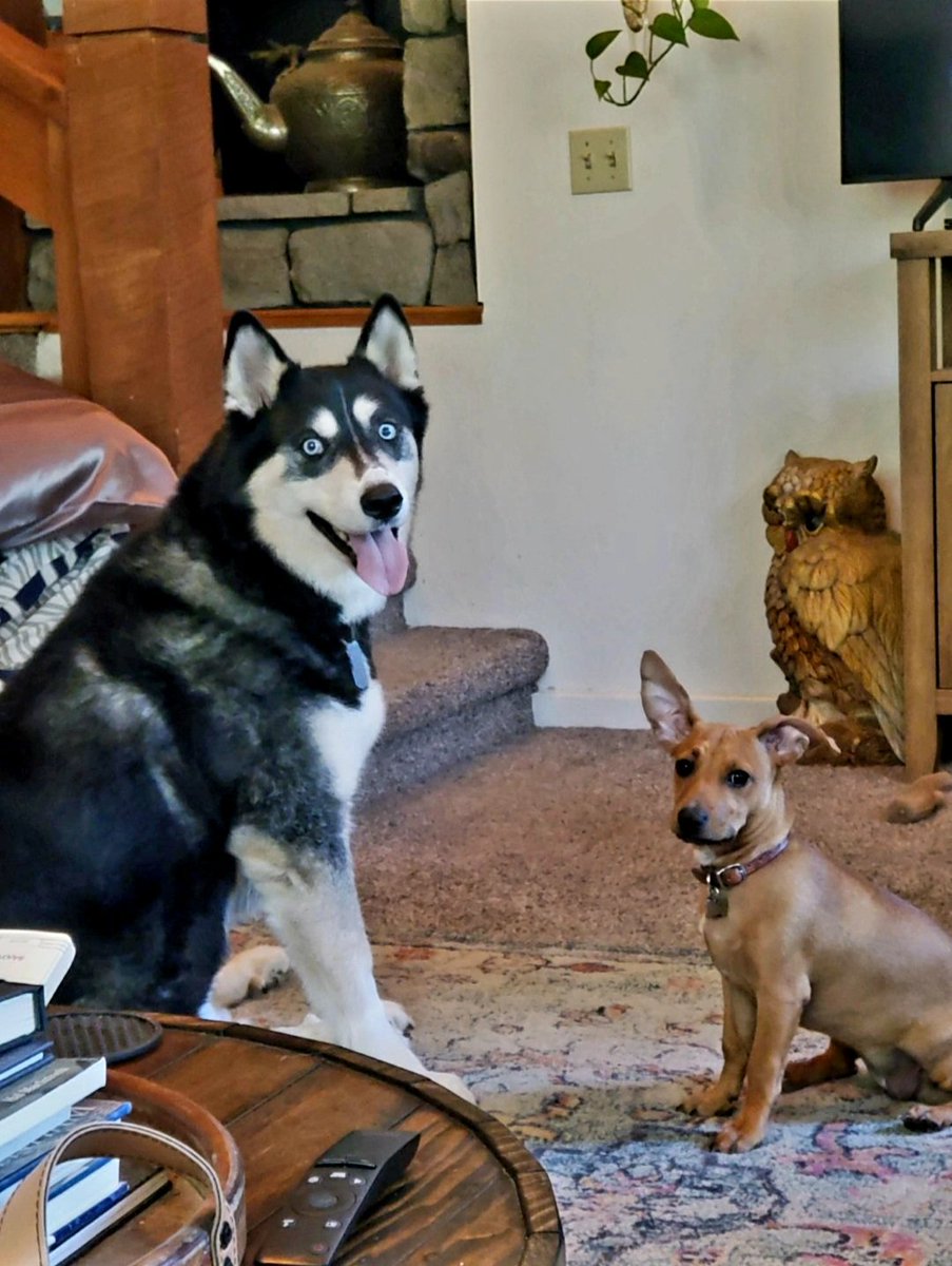 Helen Bradford tweet media