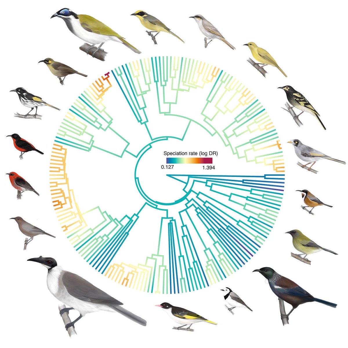 @eleanorhay.bsky.social tweet media