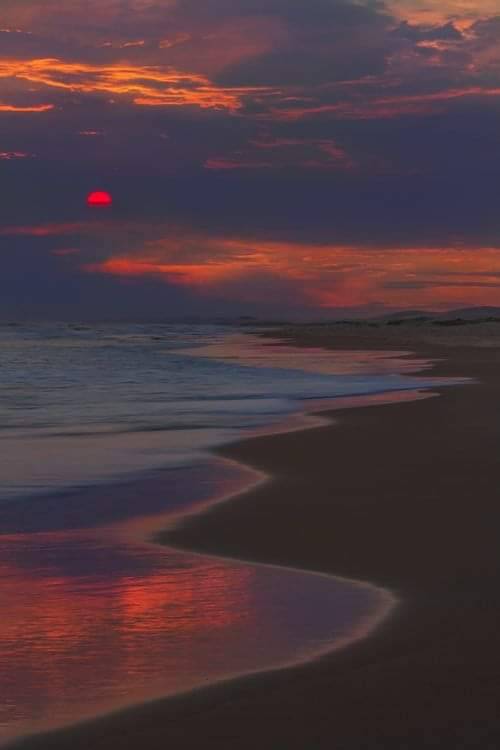 infoluxo's tweet photo. Beautiful... https://t.co/LjuPUsRWn6