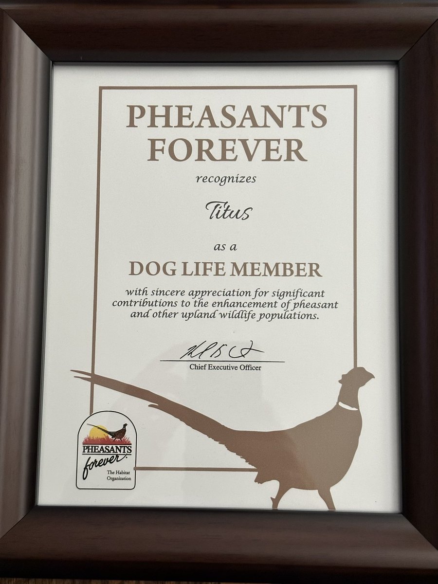 Titus got his Life Member to Pheasants Forever this weekend. #PheasantsForever
