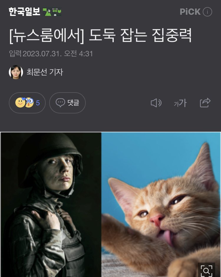 piropiroriyusa's tweet photo. 오늘 이 칼럼 정말 꼭 읽어보셨으면.

“왜 자꾸 사회적 참사가 일어나 사람들을 죽이는가, 그들을 추모하는 일이 일상이 될 지경인 건 왜인가. 영국 저널리스트 요한 하리가 집중력 위기에 대해 쓴 책 ‘도둑맞은 집중력’에서 결정적 이유를 찾았다. 첫째, 사람들이 산만하게 분노하기 때문이다. https://t.co/SqaIs7C5Rn