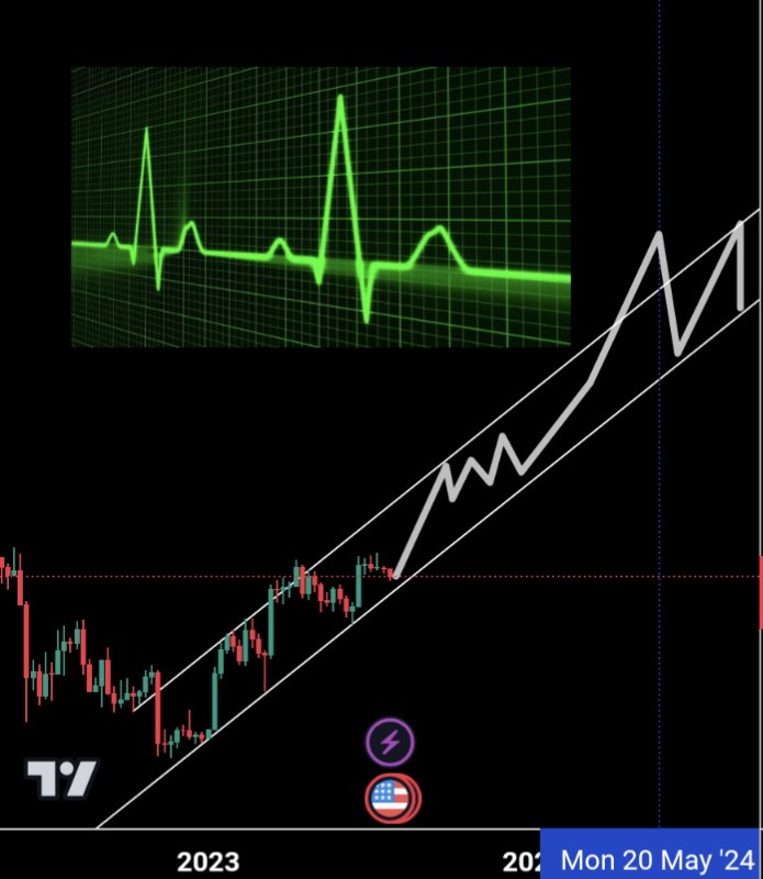 Beetle Farm ™️ tweet media