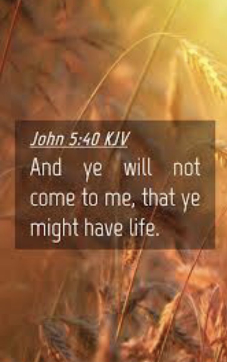 TrustJesusAlone's tweet photo. @kimberley_7_ You are biblically ignorant, and spiritually blinded. It says it all on your profile,๐ฅ. You were deceived because of your lack of biblical knowledge, and you approach the Scriptures with their faulty filter. https://t.co/BZSE0ESYia https://t.co/yWevmxfCZc