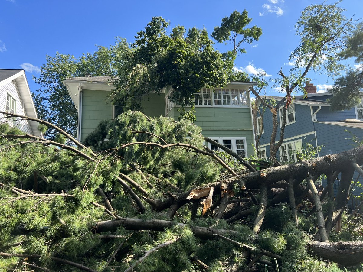 Christopher Naoum tweet media