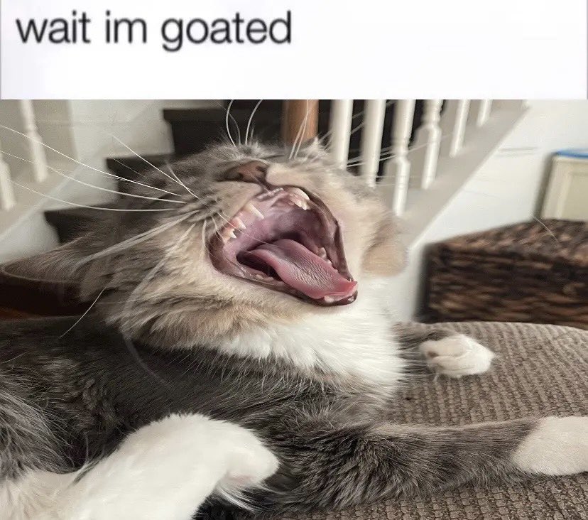 3-0 <a href="/Complexity/">Complexity</a> 

9x champion ^-^ gg’s to everyone we played ❤️‍🔥