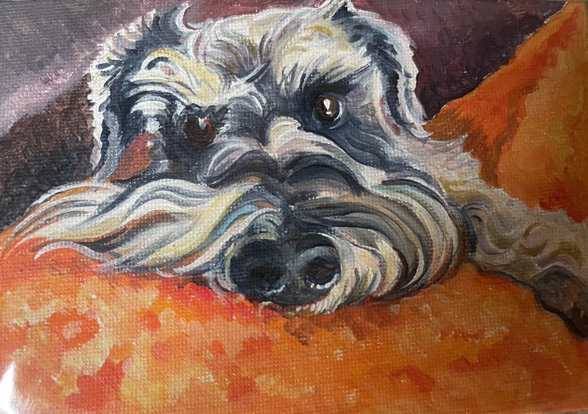 @pebbleandpooch have made a lovely pawtrait of our boy Rufus 🌈🐾🧡