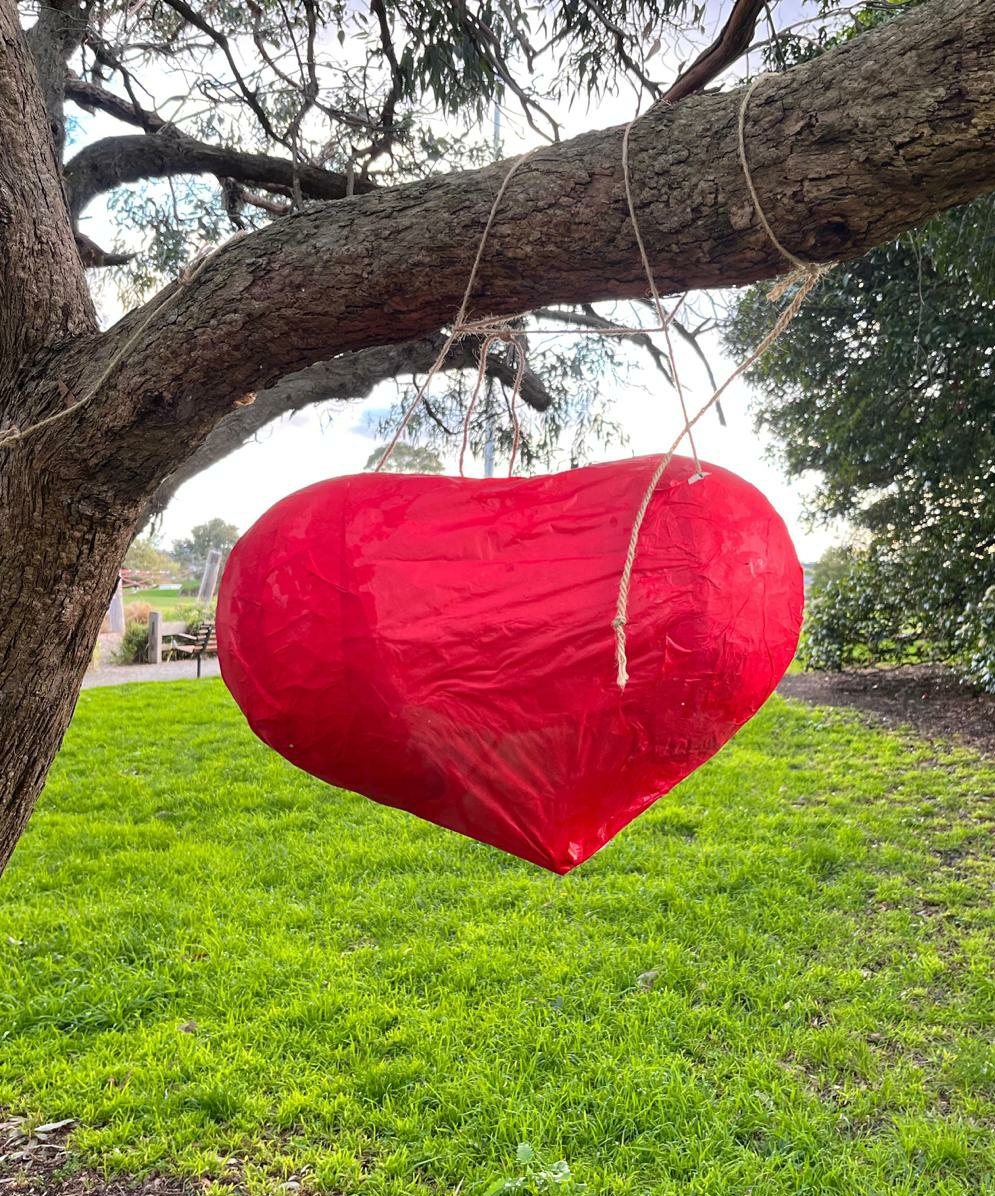 Vizsla Emme tweet media