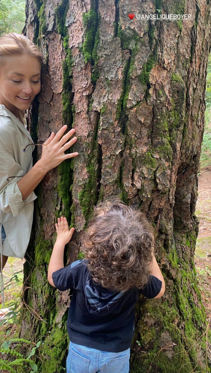 luvforboyer's tweet photo. angie es la tía bonita que les enseña a sus sobrinos a amar la naturaleza, y la prueba es esta fotito de liam y ella abrazando un árbol 🥹🫶🏻 como la amo, me rompí https://t.co/iQ7aX081LR