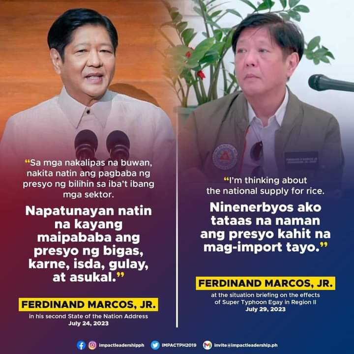 EggTarTisYummy's tweet photo. After few days of pondering 🤣 https://t.co/K1vjYXZuiD