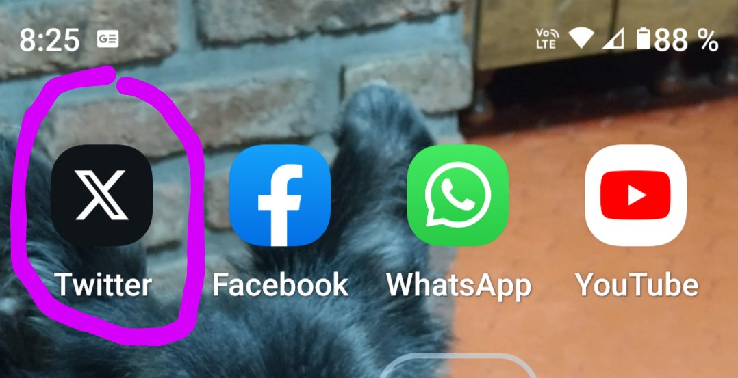 Willydog532's tweet photo. Alguien me puede decir porqué me aparece el logo de tweteer de esta manera, desde ya se lo agradezco. https://t.co/RuxTjOLryo
