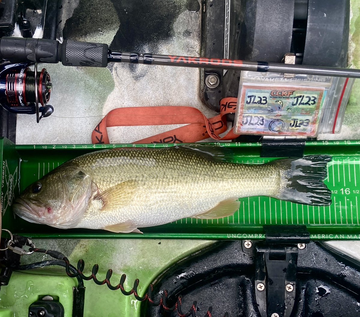 miacalva's tweet photo. In tournament fishing, your biggest fish isn’t always your most important fish….
This bass put me on a pattern that saved my season in the last hour of yesterday’s #CCKF tournament.
That’s why it’s my #YAKRODS bass of the week.
#yakrods #kayakfishing #CPRFishing https://t.co/PQg5CKPKlI