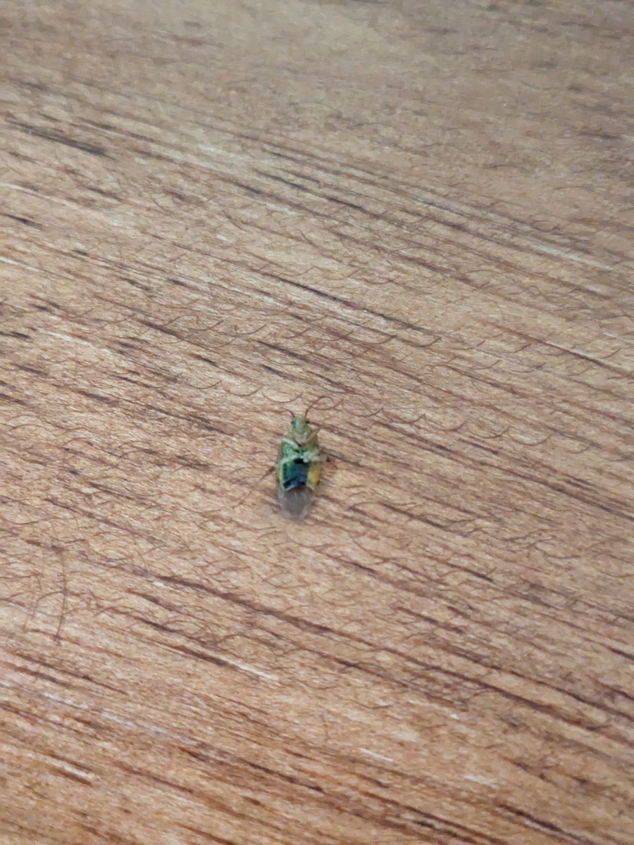 FrameDMG's tweet photo. She is unable to go to the store and is simply asking for a refund. I've attached photos. Is there anything that can be done? https://t.co/oem8AOyinO