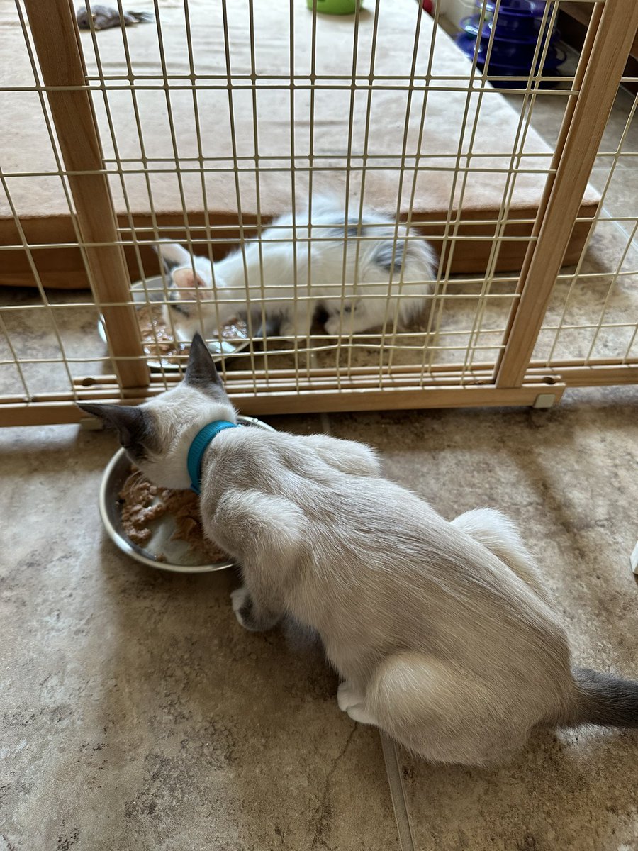 👀itsnam tweet media