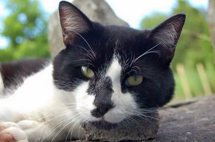 Logan Damien Oberholster tweet media