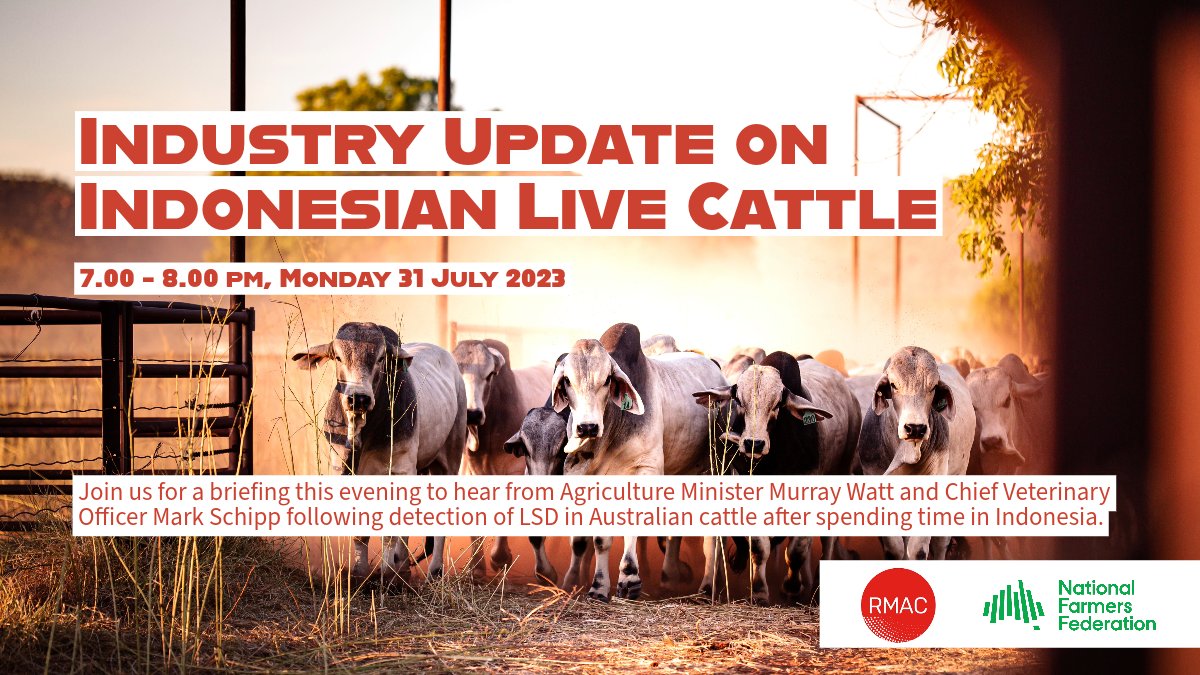 Want to learn more about the unfolding situation with live cattle exports into Indonesia? 📺 Tune in 7pm AEST tonight. We'll have @MurrayWatt and Chief Vet Mark Schipp providing an update. Click here to join (no registration). Pls RT 🙏 teams.microsoft.com/l/meetup-join/… #agchatoz #ausag