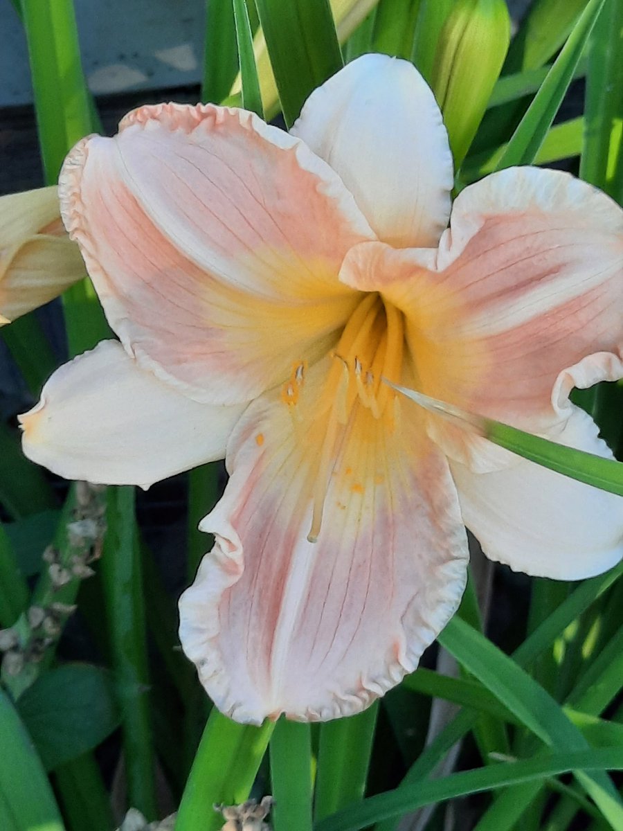 Ruby Beets tweet media