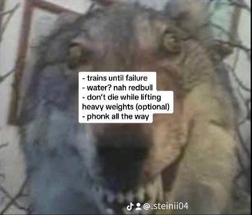 steinii04's tweet photo. Sharing one cabin in the shower afterwards is the best part of working out💦

#gym #meme #Gymbro #furry #furryart #bearandwolfmeme https://t.co/Xk8Py7FgFY