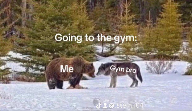 steinii04's tweet photo. Sharing one cabin in the shower afterwards is the best part of working out💦

#gym #meme #Gymbro #furry #furryart #bearandwolfmeme https://t.co/Xk8Py7FgFY