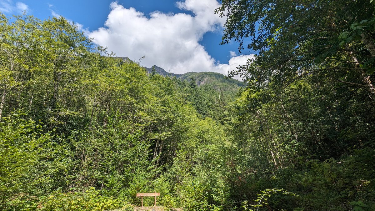 Ramble On tweet media