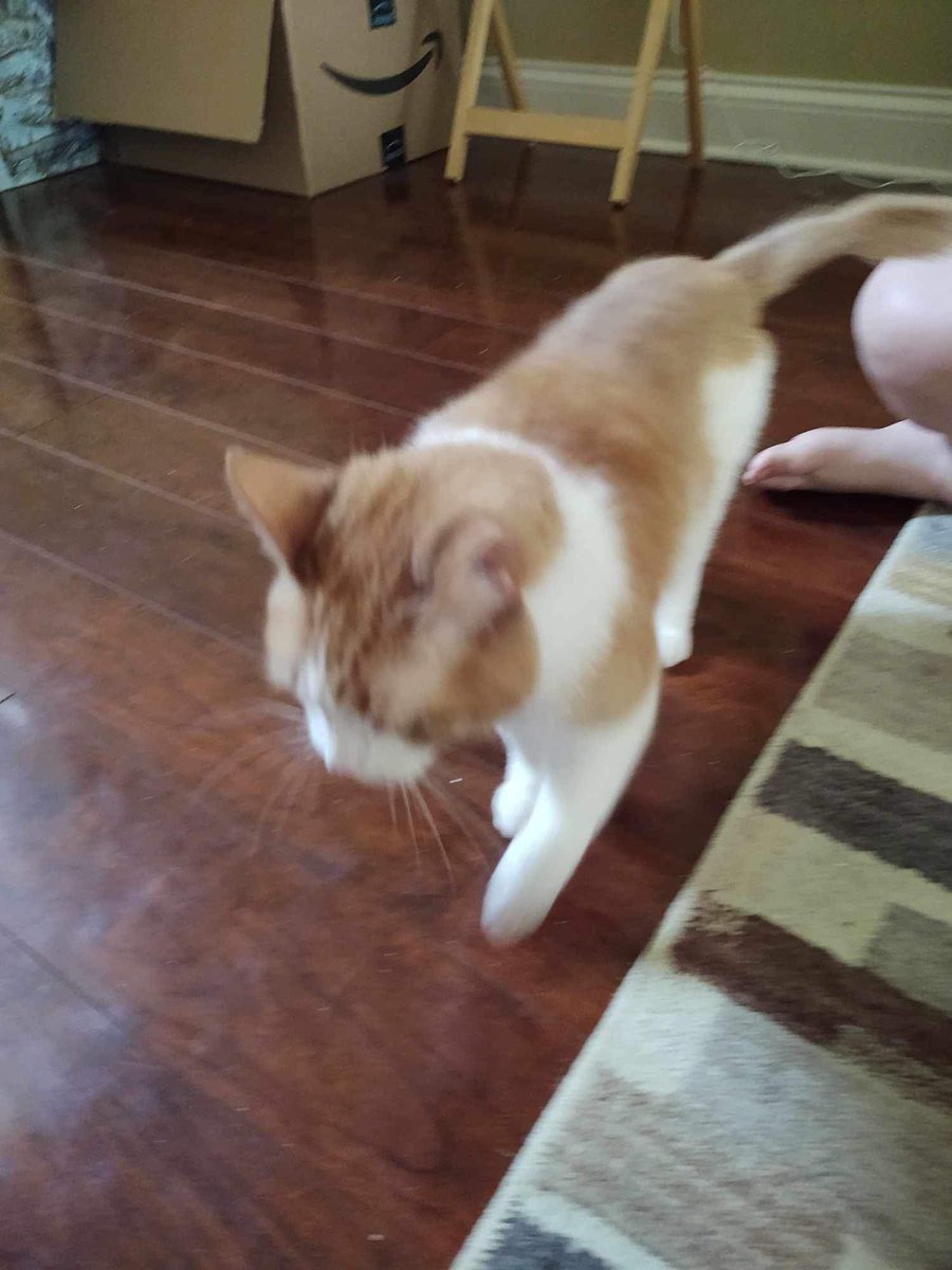 Michelle_BYoung tweet media