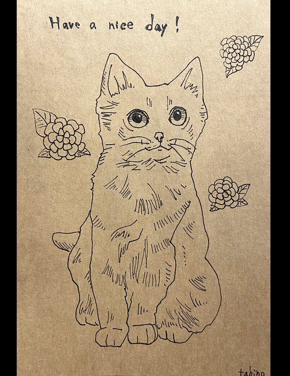 よい1日を! #猫 #猫イラスト #絵描きさんと繋がりたい #絵柄が好きっていう人にフォローされたい