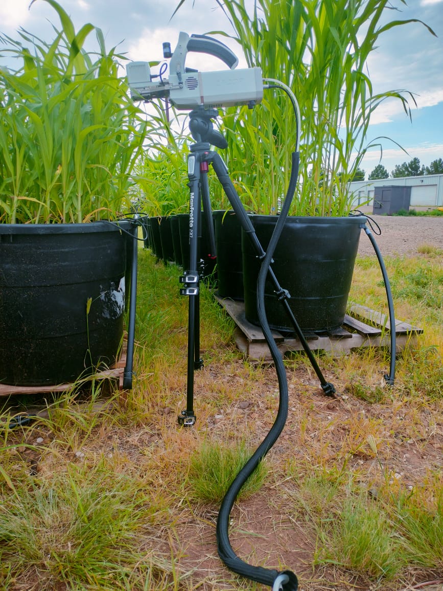 Saini DK tweet media