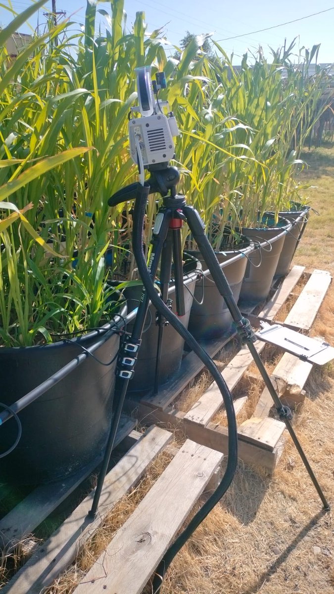 Saini DK tweet media