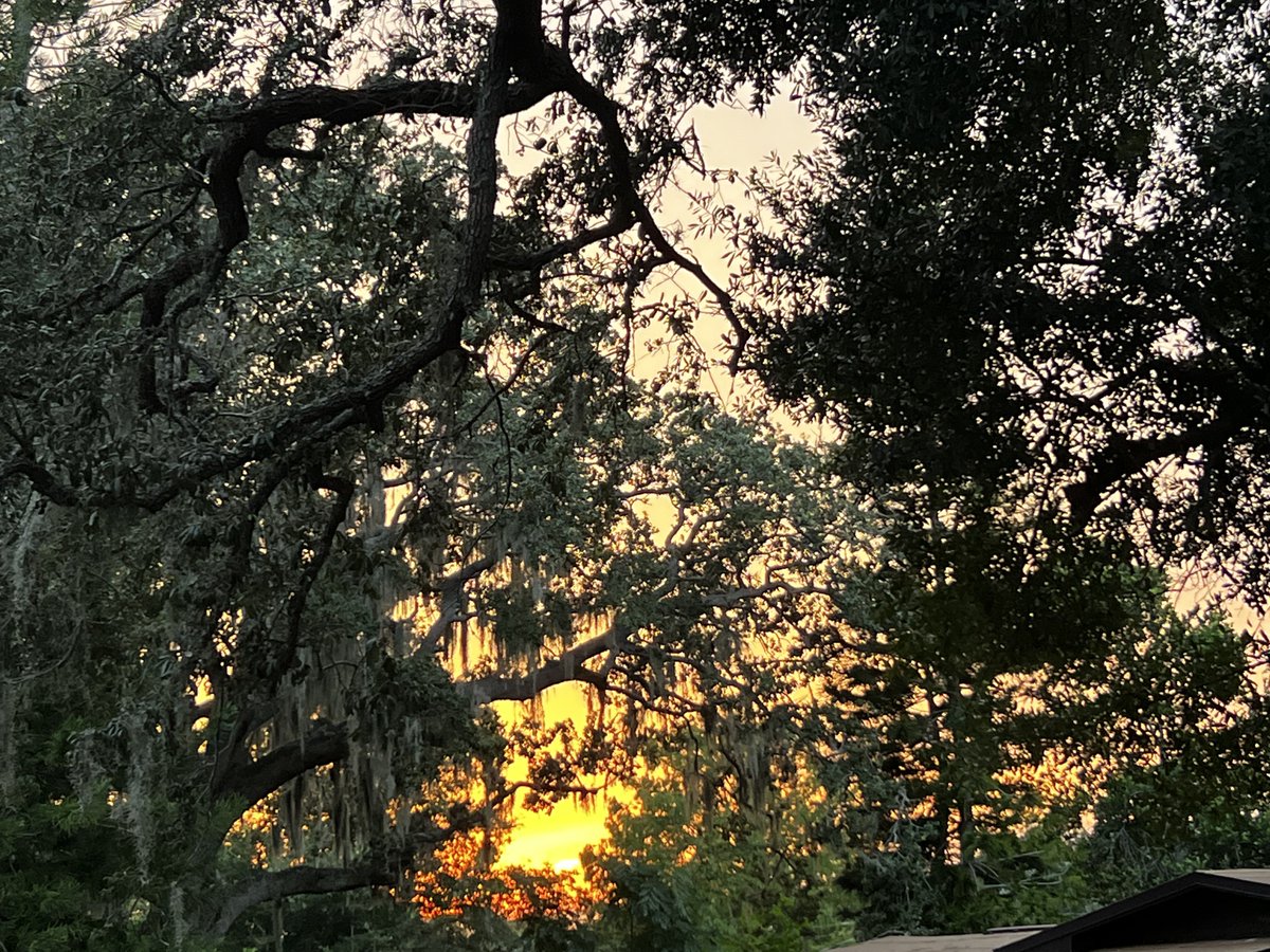 Shannon_Breezy1's tweet photo. Left vs Right from the front porch around 8pm EST
#SunGoingDown https://t.co/i6lPJFojn5