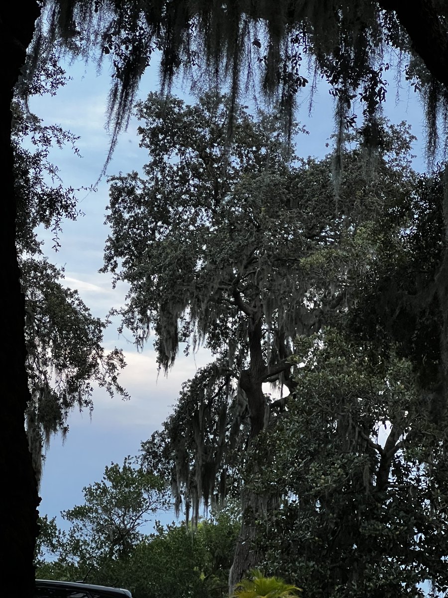 Shannon_Breezy1's tweet photo. Left vs Right from the front porch around 8pm EST
#SunGoingDown https://t.co/i6lPJFojn5