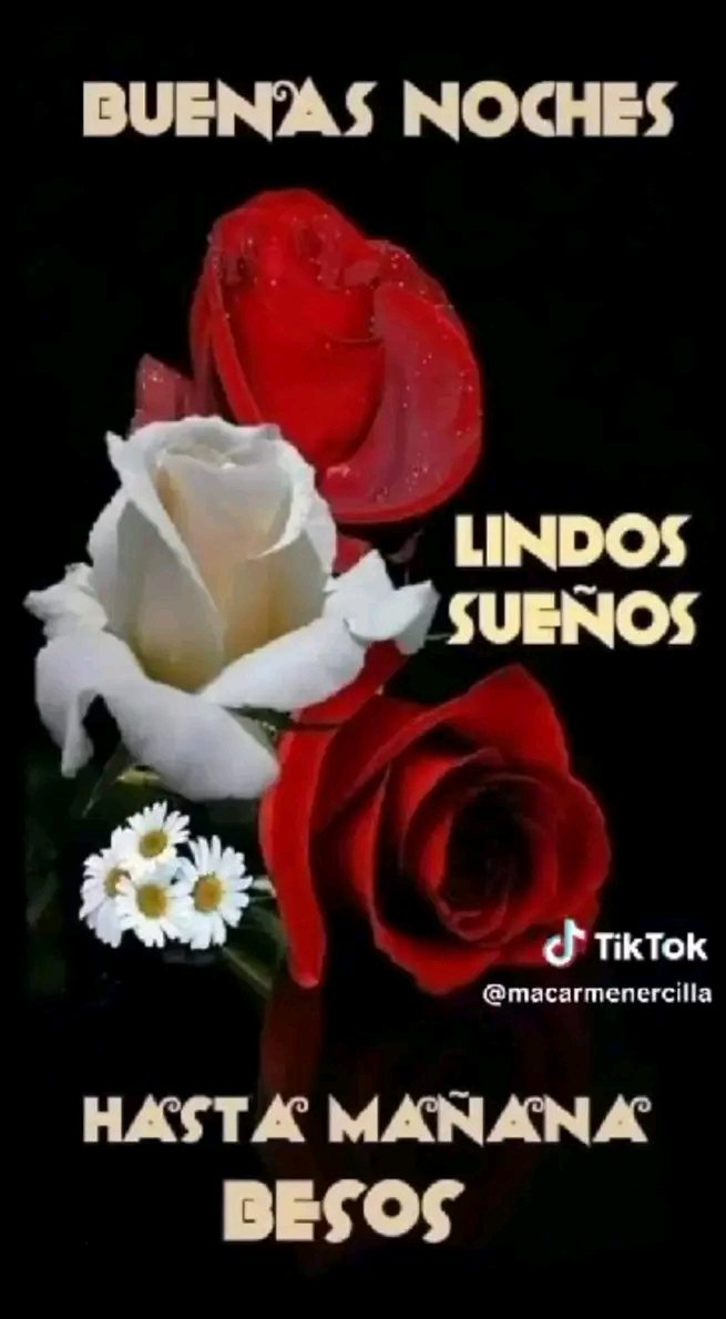 @quieroser118 @GuerreroSiJode1 @EGMorenoR @DobleVB @1412Yolis @828Berrio @lilianari_01 @quiskillosa @MasQIndustrias @coy_ermis @esterDmar @ereditsh @rus_ito @GerardoGonz2013 @Vanessa58300128 @IraidoRamon Gracias mi vida yo también te quiero mucho te mando un fuerte abrazo te deseo una linda noche lindo amanecer Dios te bendiga 🤗😘🍀🥀 @quieroser118