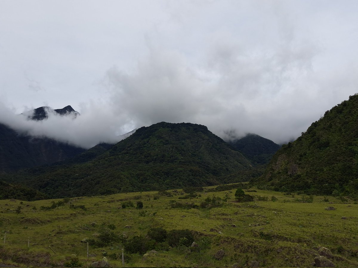 BobAlonso's tweet photo. #NewBackgroundPicture
๐ธ Parque Nacional Volcรกn Barรบ
Chiriquรญ, Panamรก ๐ต๐ฆ https://t.co/SV1eXGV5fO