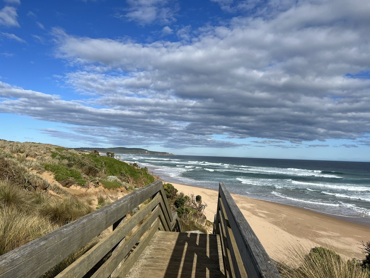 Helen Dickinson tweet media