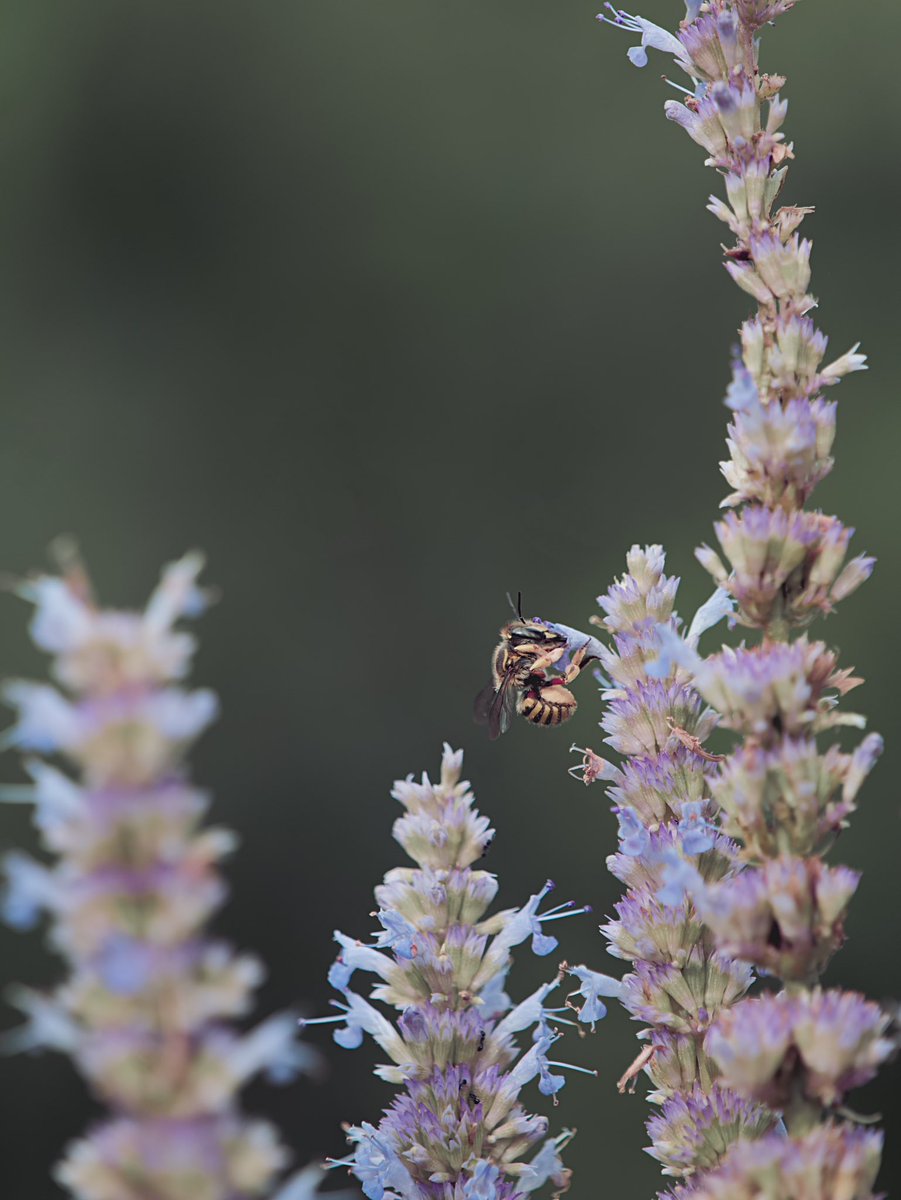 Aaron Burden tweet media