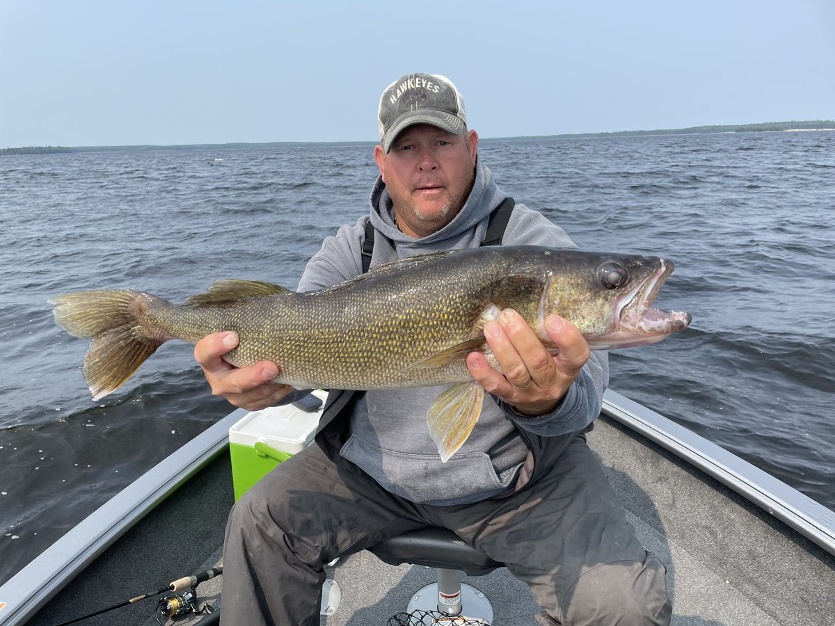 The Hawkeye Fish Camp on Lac Seul tweet media