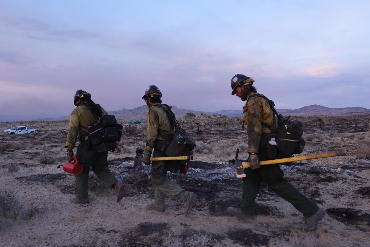SwansonPhotog's tweet image. #yorkfire #wildfire #mojave #mojavenationalpreserve #cranevalleyhotshots #california #nevada #backburn 

#onassignment @afp